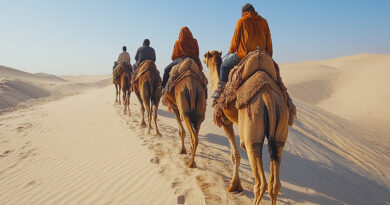 Aventuras no Deserto: Passeios de Camelo e Sandboarding