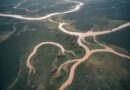 Safáris Na África: Experiência Com A Natureza Selvagem