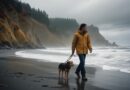 Os Melhores Destinos De Praia Para Relaxar E Recarregar As Energias