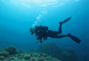 Experiências De Mergulho Para Explorar O Mundo Subaquático